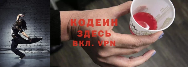молекула духа Дмитриев