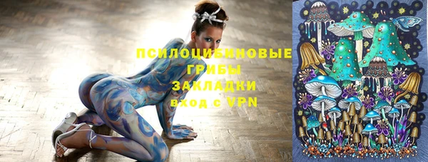 прущая мука Елизово