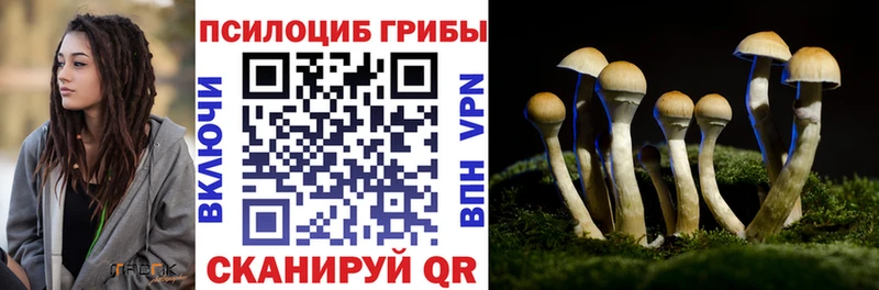 Галлюциногенные грибы мухоморы  Купить  Павловский Посад 