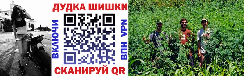 Купить  Павловский Посад  Каннабис Bruce Banner 